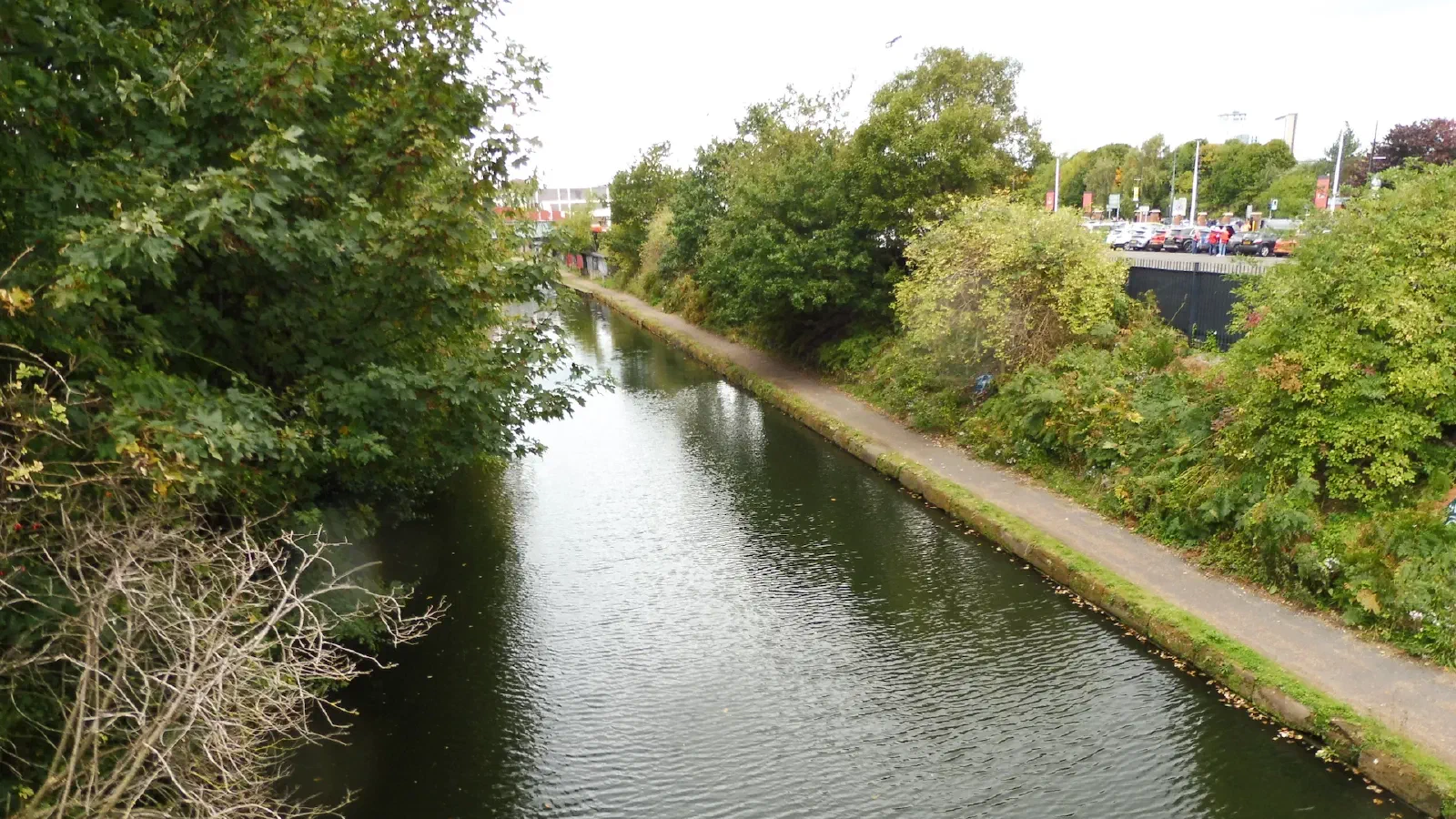 A still canal curves away between dense green trees, with a paved towpath running along the right bank under a white overcast sky. — Bridgewater Canal, Manchester