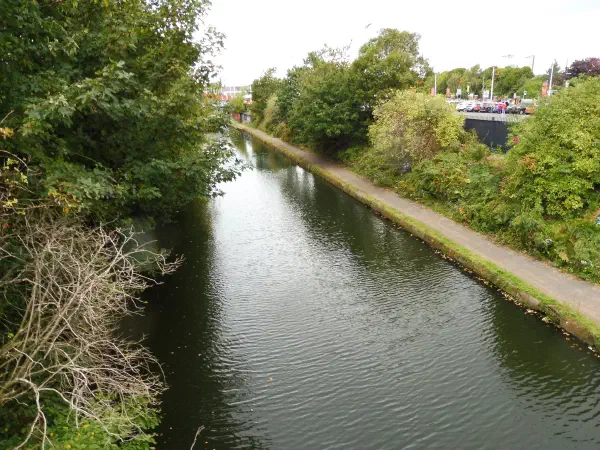 A still canal curves away between dense green trees, with a paved towpath running along the right bank under a white overcast sky. — Bridgewater Canal, Manchester