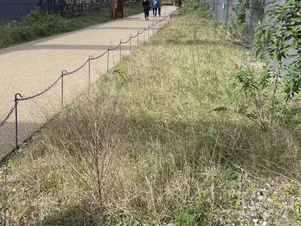 People walk under an old steel railway bridge on a sunny day through grassy fields. — Castlefield Viaduct, Manchester