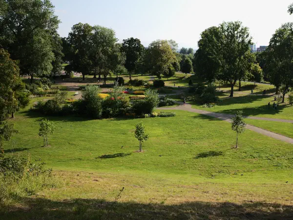 Sunny park with winding paths, small trees and grass under blue sky. — Peel Park Salford, Manchester