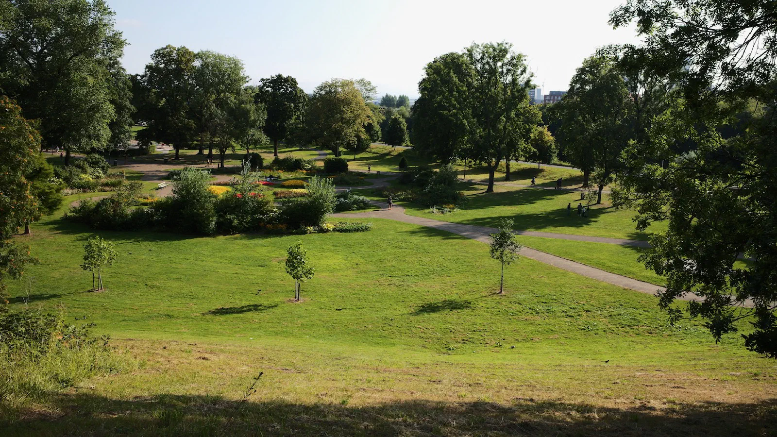 Sunny park with winding paths, small trees and grass under blue sky. — Peel Park Salford, Manchester