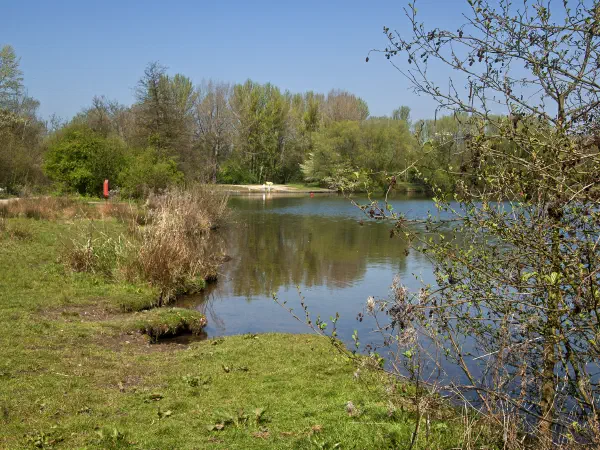 On a sunny day, tranquil water reflects green trees on the bank under blue sky. — Sale Water Park, Manchester