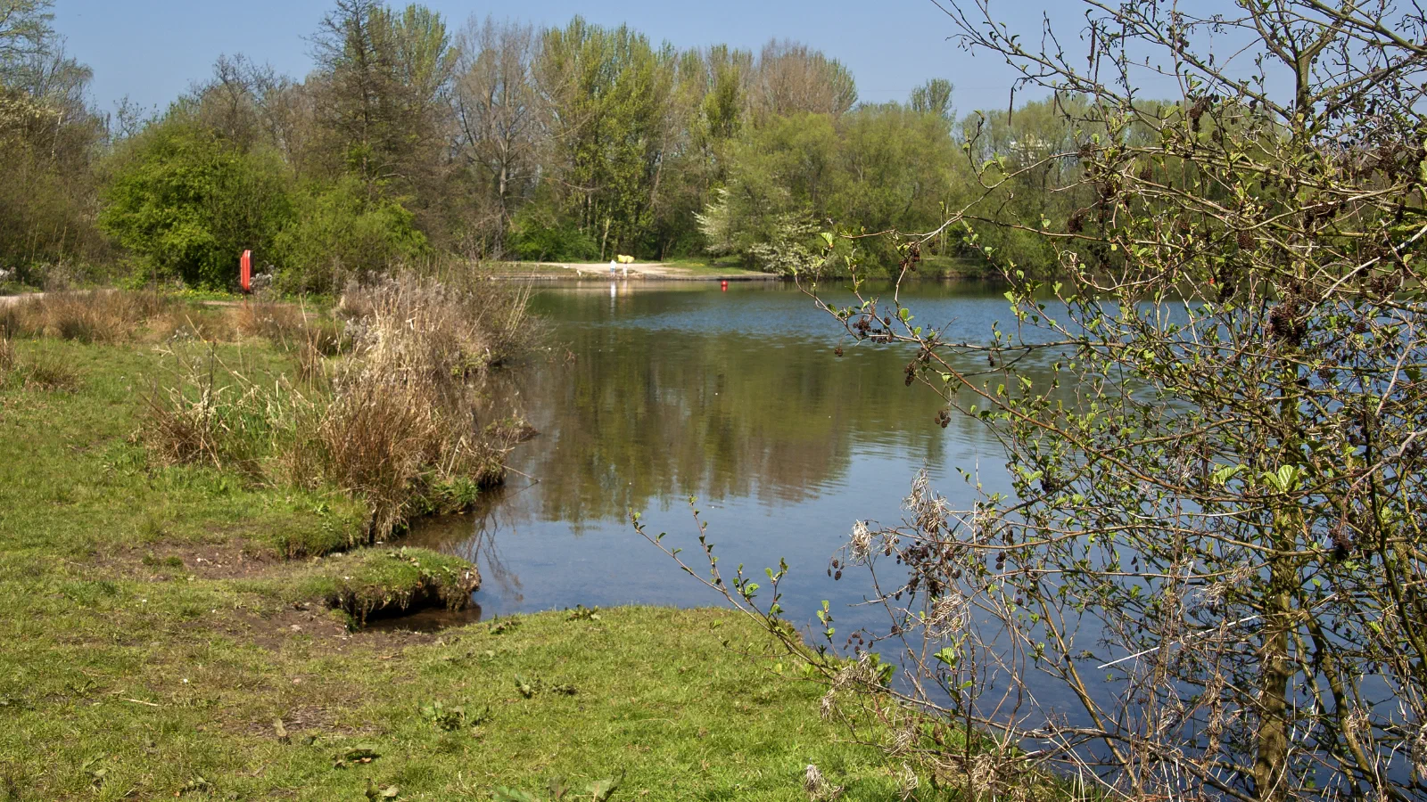 On a sunny day, tranquil water reflects green trees on the bank under blue sky. — Sale Water Park, Manchester